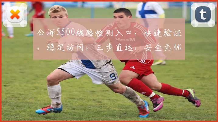 公海5500线路检测入口，快速验证，稳定访问，三步直达，安全无忧，体验非凡