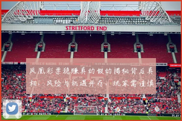 凤凰彩票稳赚真的假的揭秘背后真相，风险与机遇并存，玩家需谨慎对待。