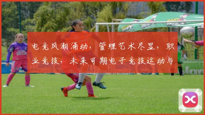 电竞风潮涌动，管理艺术尽显，职业竞技，未来可期电子竞技运动与管理三大维度解析