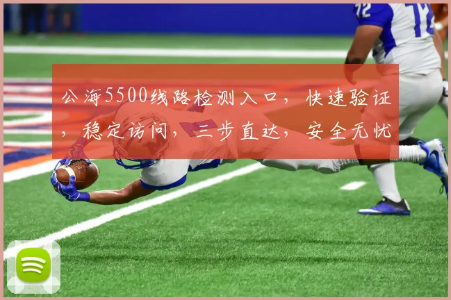 公海5500线路检测入口，快速验证，稳定访问，三步直达，安全无忧，体验非凡